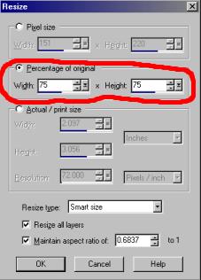 Make image physically smaller