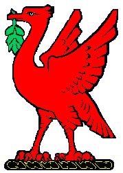 paint shop pro tube or clipart of Liverbird for scousers from Liverpool