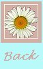 back button for white daisy floral graphic image happy birthday background set