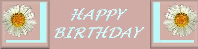 happy birthday header for white daisy floral graphic image happy birthday background set