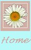 home button for white daisy floral graphic image happy birthday background set
