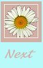 next button for white daisy floral graphic image happy birthday background set