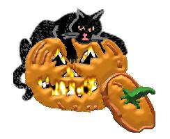Halloween cat on jack o'lantern tube